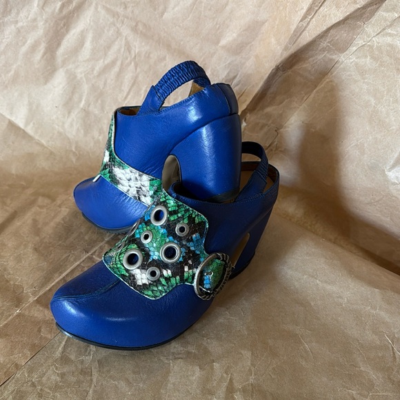 Buzz Python Prepares - Picture 1 of 6